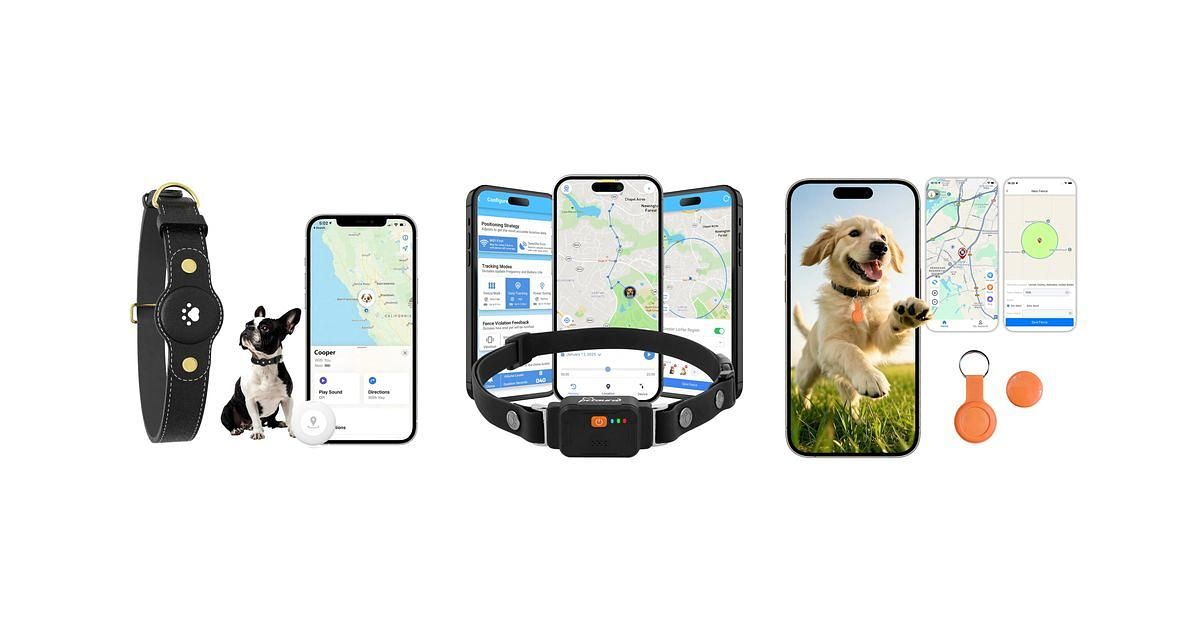 GPS Dog Trackers vs Smart Collars: Which Features Matter Most?