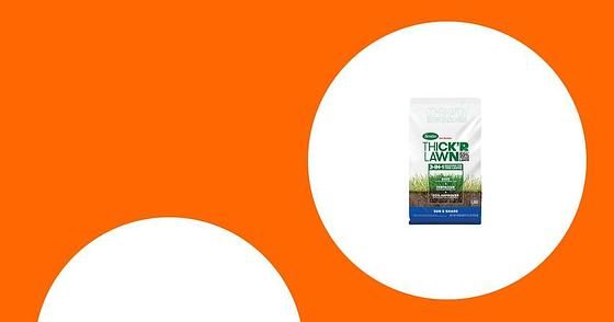 $12.97 Scotts Turf Builder Thick'R Lawn Sun and Shade 12 lbs. Grass Seed, Fertilizer and Soil Improver