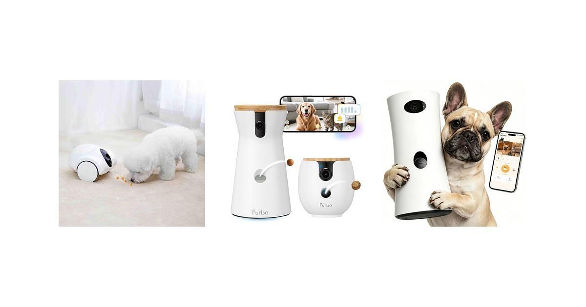 Automatic vs Interactive Dog Cameras: Which Features Matter Most?