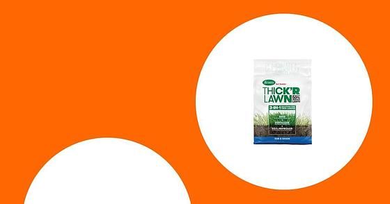 $13.97 Turf Builder Thick'R Lawn Tall Fescue Mix 12 lbs. Grass Seed, Fertilizer and Soil Improver