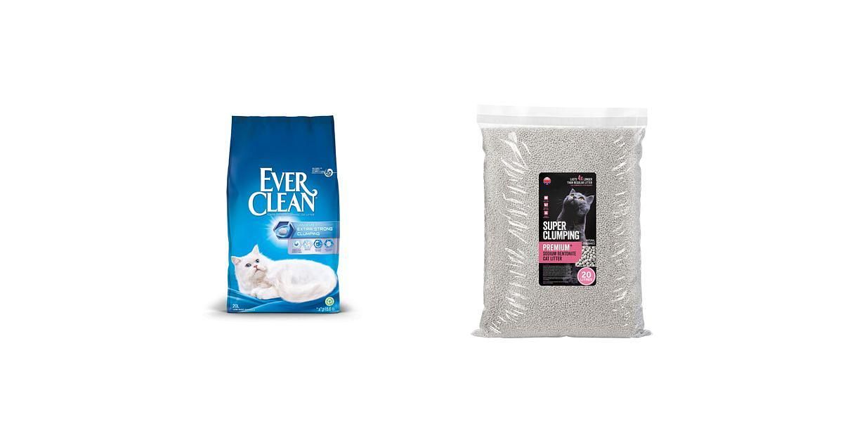 Cat Litter for Flats: Odour-Control Options Worth Buying