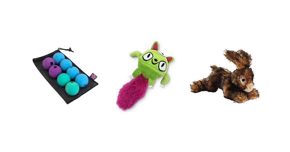 My Favorite 6 Interactive Dog Toys That Actually Tire My Dogs Out