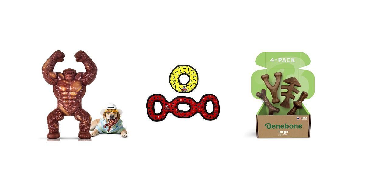 The Top 7 Heavy-Duty Indestructible Dog Toys for 2026