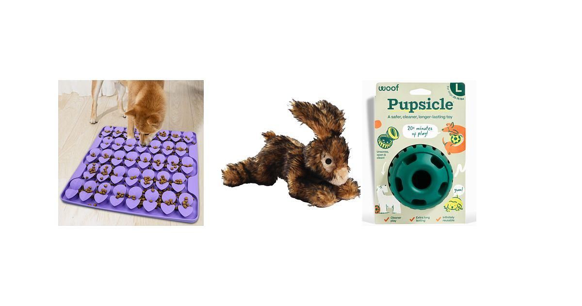 Best Toys That Keep Senior Dogs Happy, Busy, and Entertained