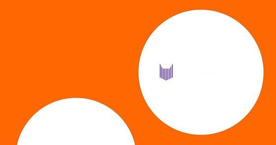 Our Review of Zebracat: The Ultimate Tool for Social Media Influencers