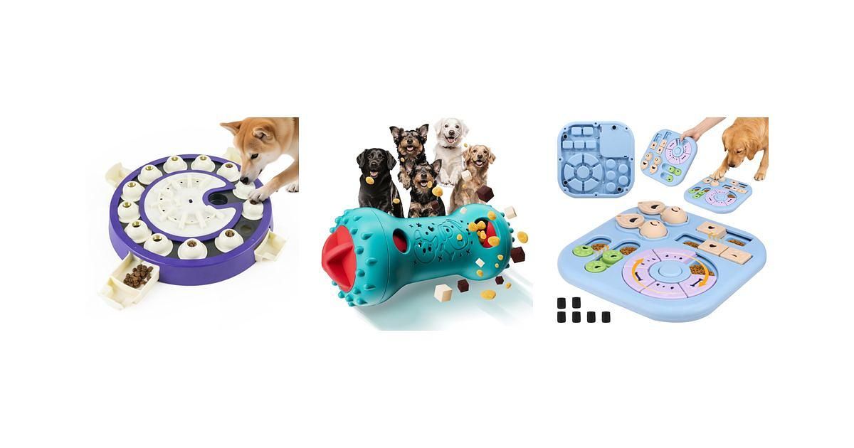 How to Choose a Dog Puzzle Toy for Curious, High-Energy Pets