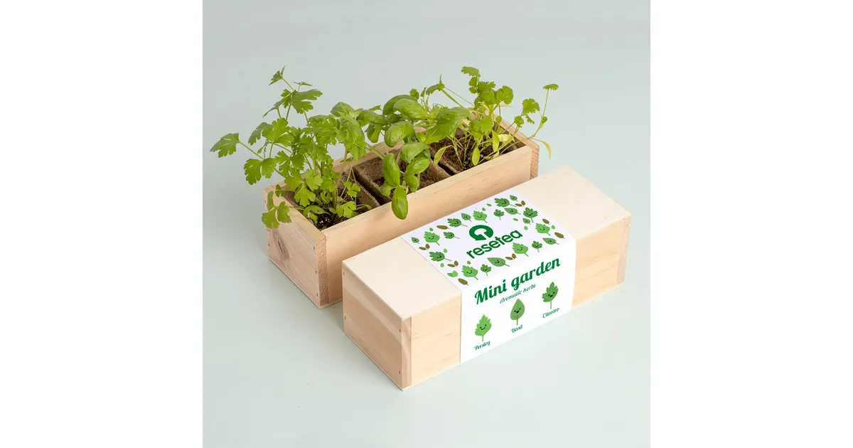 RESETEA Mini Garden &Alpha;&rho;&omega;&mu;&alpha;&tau;&iota;&kappa;ώ&nu; &Beta;&omicron;&tau;ά&nu;&omega;&nu;
