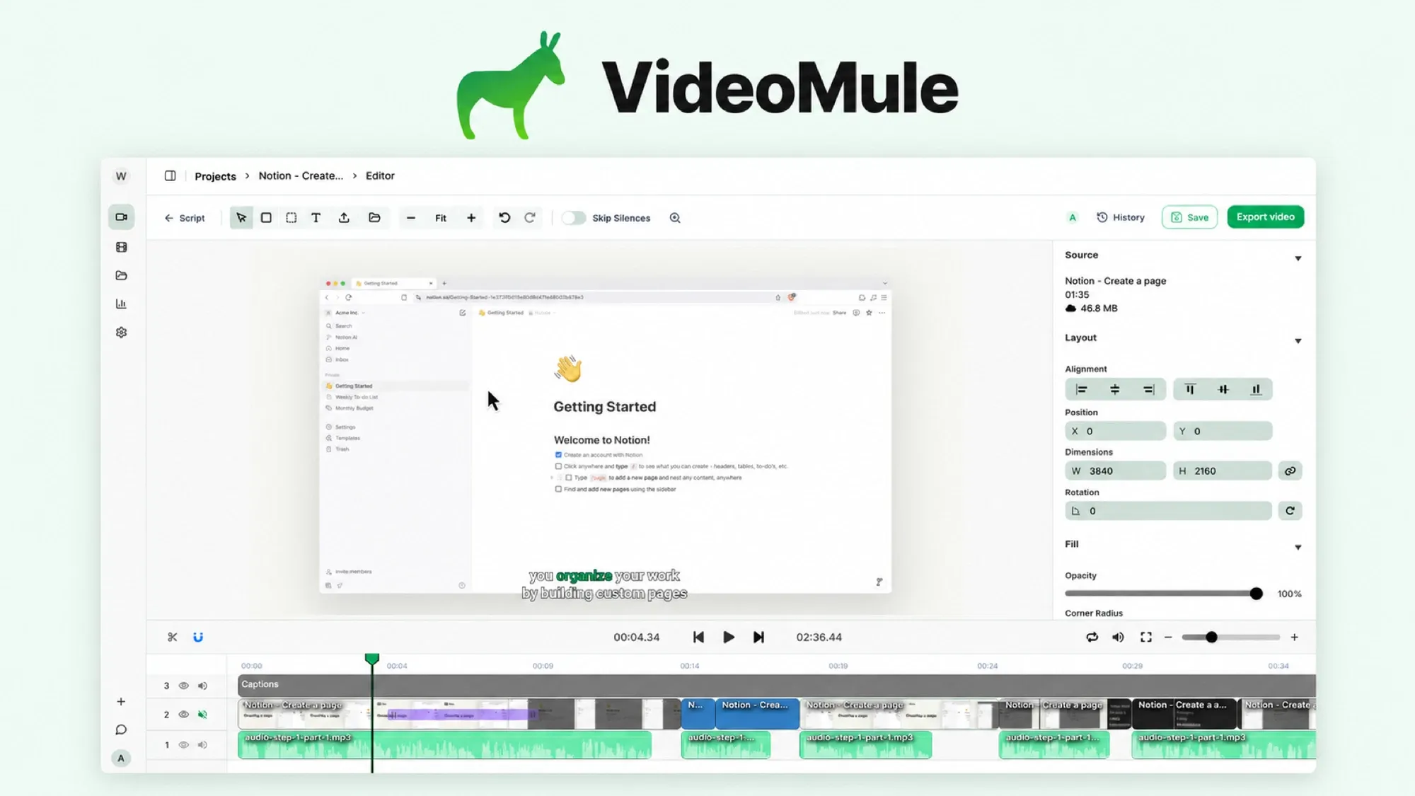 VideoMule