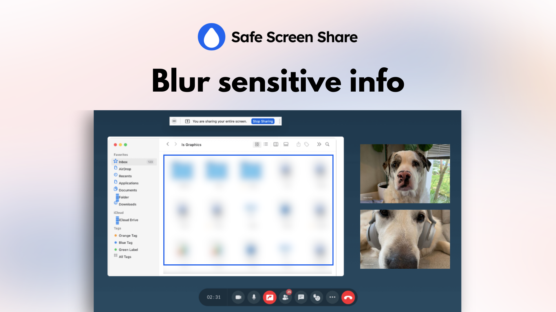 Safe Screen Share