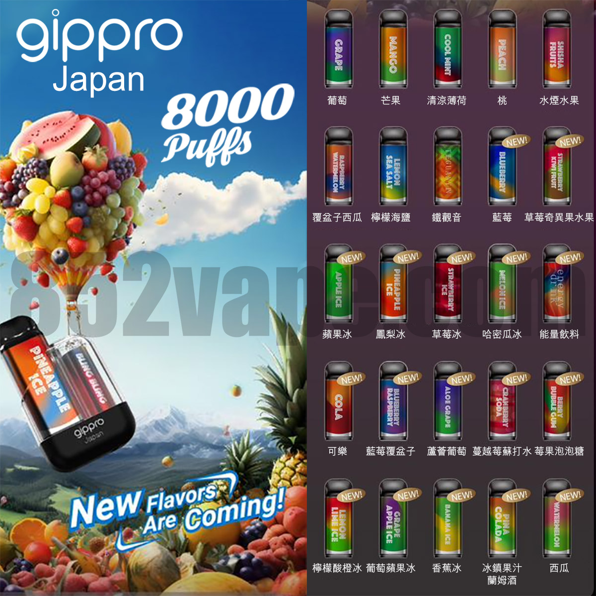 Gippro Blink Box 8000口